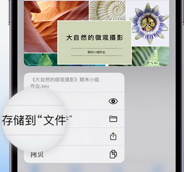 杨市办事处apple维修中心分享iPhone文件应用中存储和找到下载文件