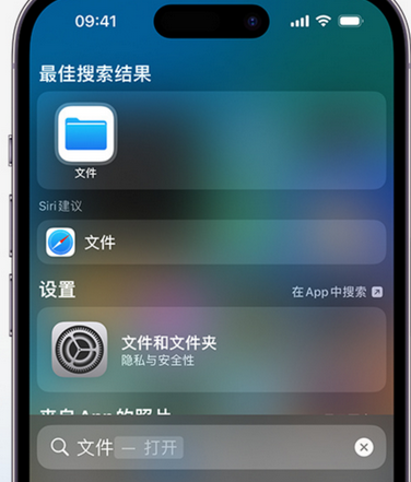 杨市办事处apple维修中心分享iPhone文件应用中存储和找到下载文件 