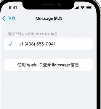 杨市办事处apple维修iPhone上无法正常发送iMessage信息 