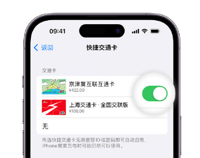 杨市办事处apple维修点分享iPhone上更换Apple Pay快捷交通卡手绘卡面 