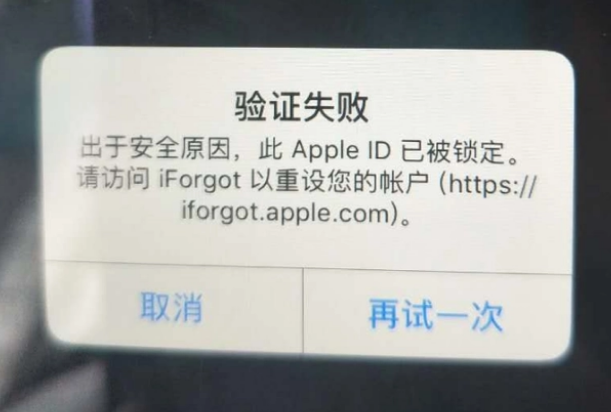 杨市办事处iPhone维修分享iPhone上正常登录或使用AppleID怎么办 