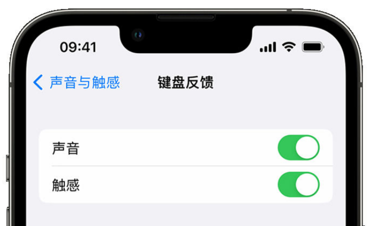 杨市办事处苹果手机维修分享iPhone 14触感键盘使用方法 