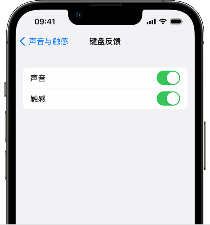 杨市办事处苹果14维修店分享如何在 iPhone 14 机型中使用触感键盘 