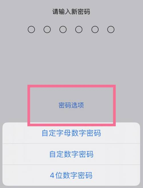 杨市办事处苹果14维修分享iPhone 14plus设置密码的方法 