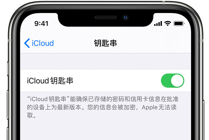 杨市办事处苹果手机维修分享在 iPhone 上开启 iCloud 钥匙串之后会储存哪些信息 
